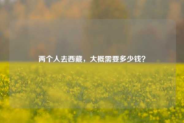 两个人去西藏，大概需要多少钱？